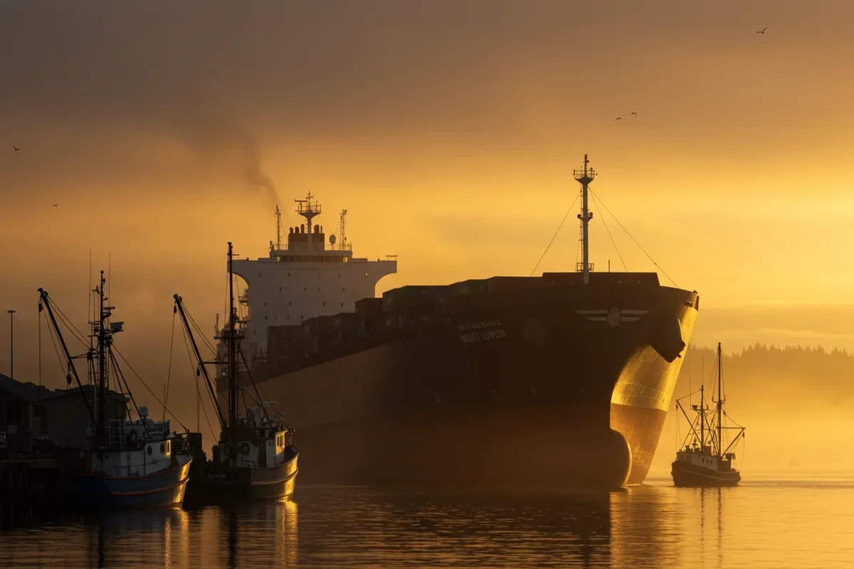 The City of Whittier a large ship sits in calm waters bathed in a warm morning light with several fishing boats nearby