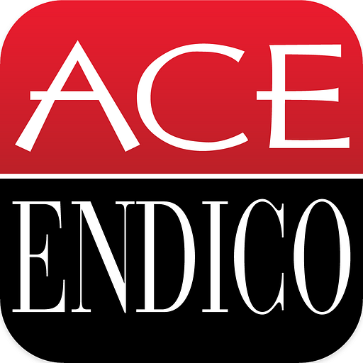 The Ace Endico logo depicts a stylized black and white image of a bull resembling an eagle in flight