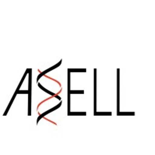 Asell Internation Inc. logo
