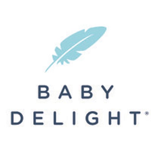 A simple image featuring the Baby Delight logo with a delicate feather icon highlighting the brands name and aesthetic