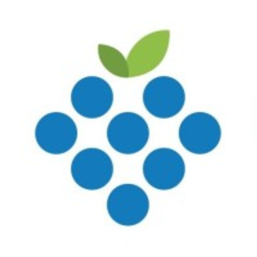 A direct berry logo featuring a stylized dark blue bunch of grapes with a vibrant purple highlight representing freshness