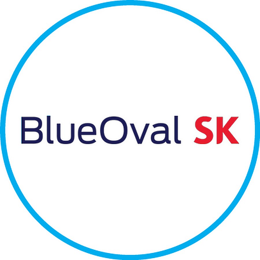 The blue oval logo for SK LLC features a stylized blue oval background with the company name in white text