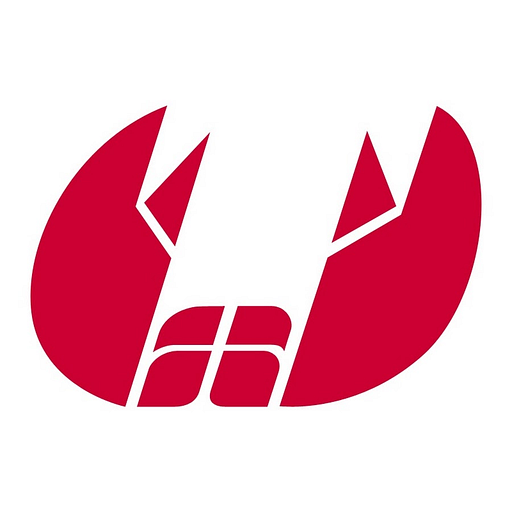 A stylized logo featuring a bold red geometric shape representing Bolzoni Auramo Incs brand identity with sharp angles