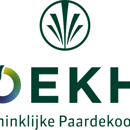 Broekhof USA logo featuring a stylized eagle in flight with outstretched wings and a bold color scheme