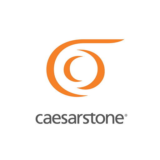 Caesarstone USA Inc logo displays the companys distinctive stone logo featuring a gray stone texture and the company name