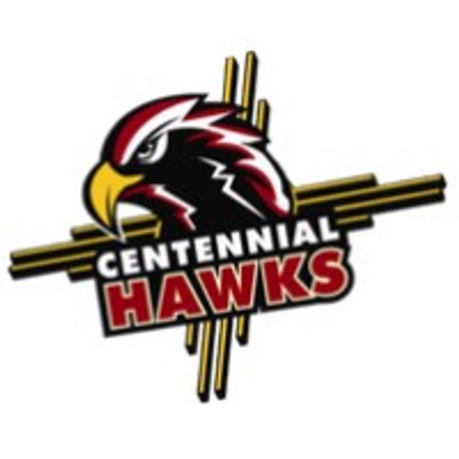 A bald eagle logo features prominently with the words DMS Holdings Inc in red and white below it