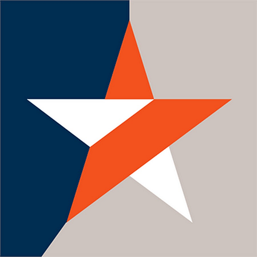 Dani Eli Corporation logo featuring a white triangle within a navy blue square and a vibrant orange triangle