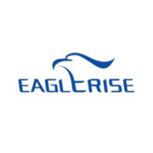 A soaring eagle emblem represents Eaglerise Renewable Energy USA Incs logo highlighting its commitment to renewable energy