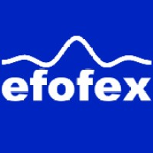 The efofexinc logo features a stylized blue phoenix rising from flames a symbol of rebirth and resilience