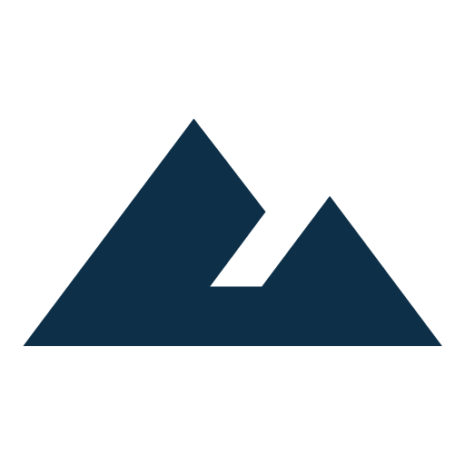 A dark blue triangle represents the Everest Disposable Inc logo and brand identity emphasizing strength and stability