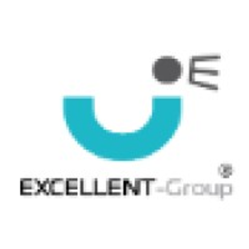 The Excellent Group Inc logo depicts a stylized blue abstract shape resembling a building or shield with a white interior