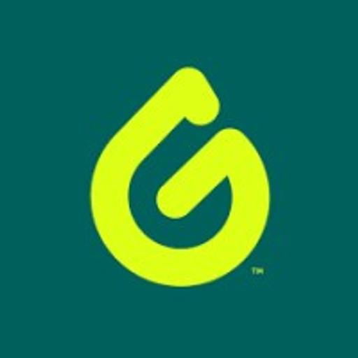 A green logo featuring the text Good Wipes a stylized wordmark with a distinct font and design represents the brand