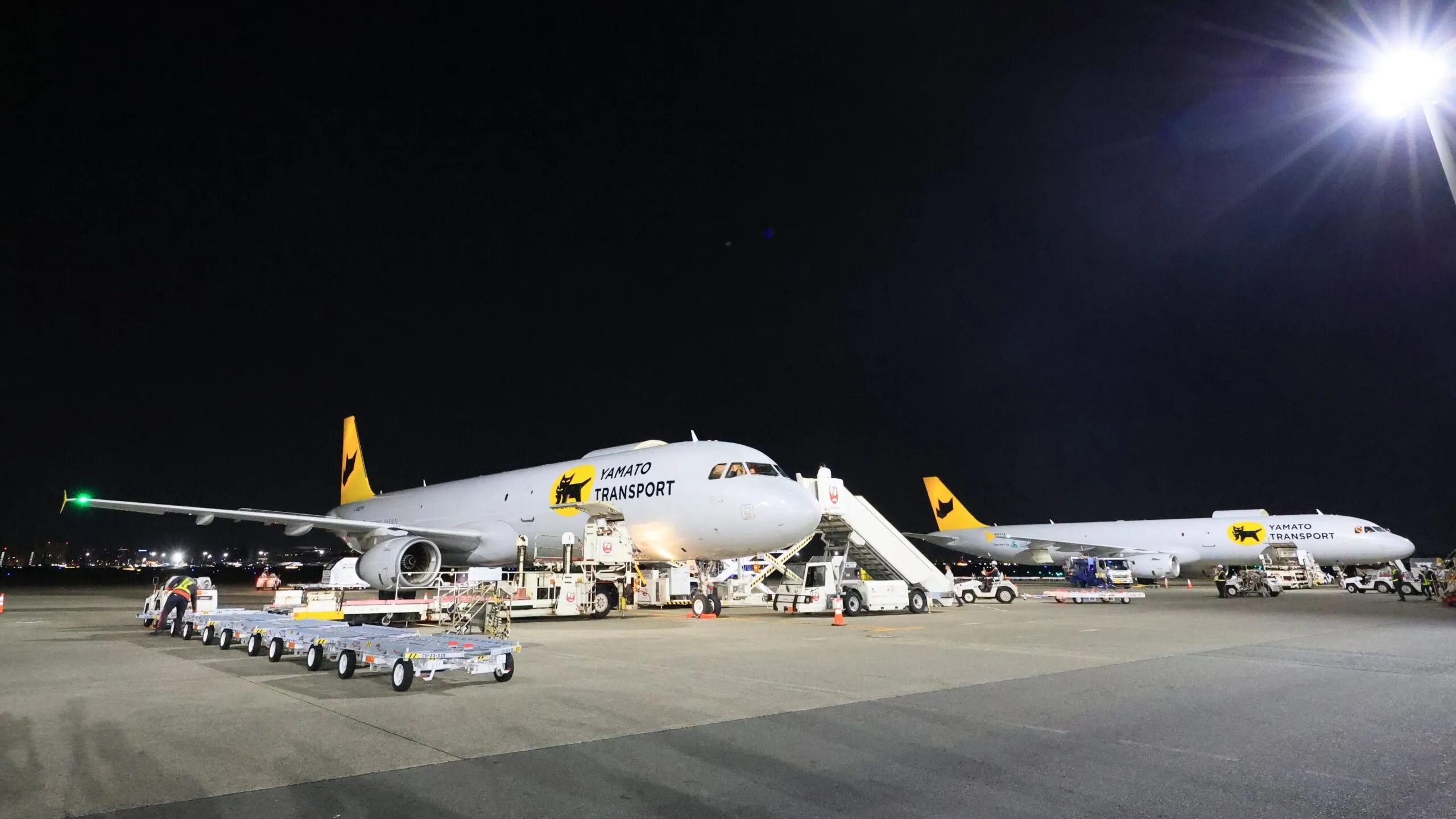 Yamato Holdings global carrier services and logistics operations