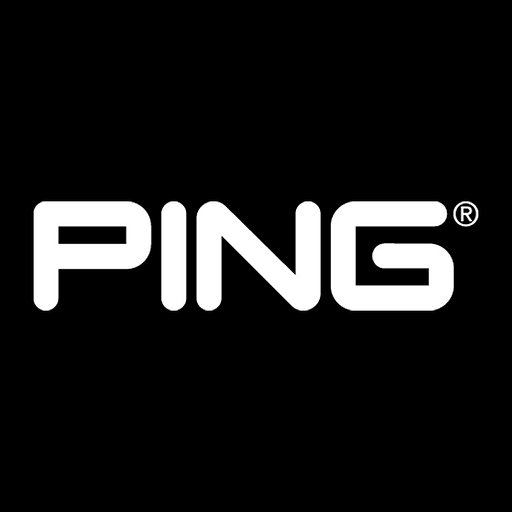The ping inc logo features the stylized word ping in bold blue with a white outline and a subtle gradient effect creating a