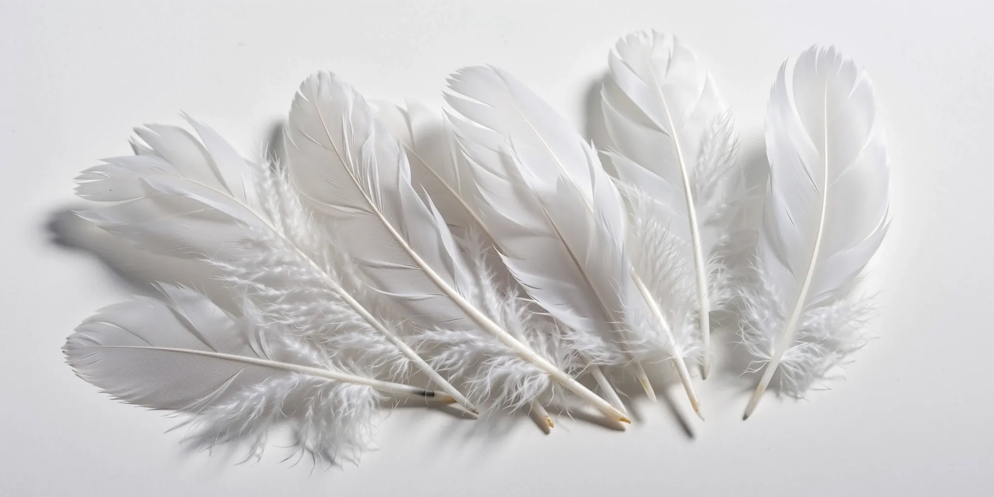 Feathers of a kind used for stuffing; down