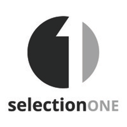 A monochrome logo featuring a single stylized grey triangle against a white background representing Selection One LLC