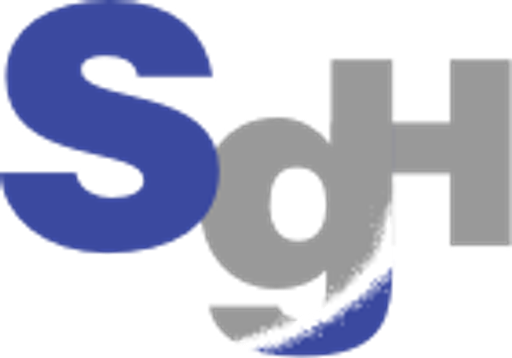 SG Holdings logo