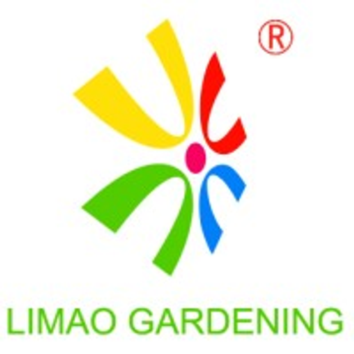 A stylized logo features a green and blue flower design with a central yellow element suggesting growth and vibrancy for Tz