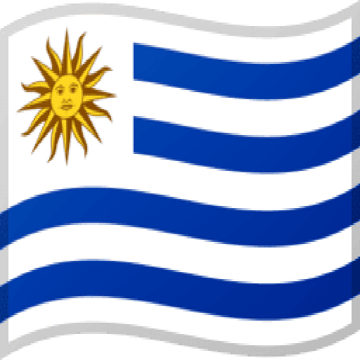 Montevideo, Uruguay flag